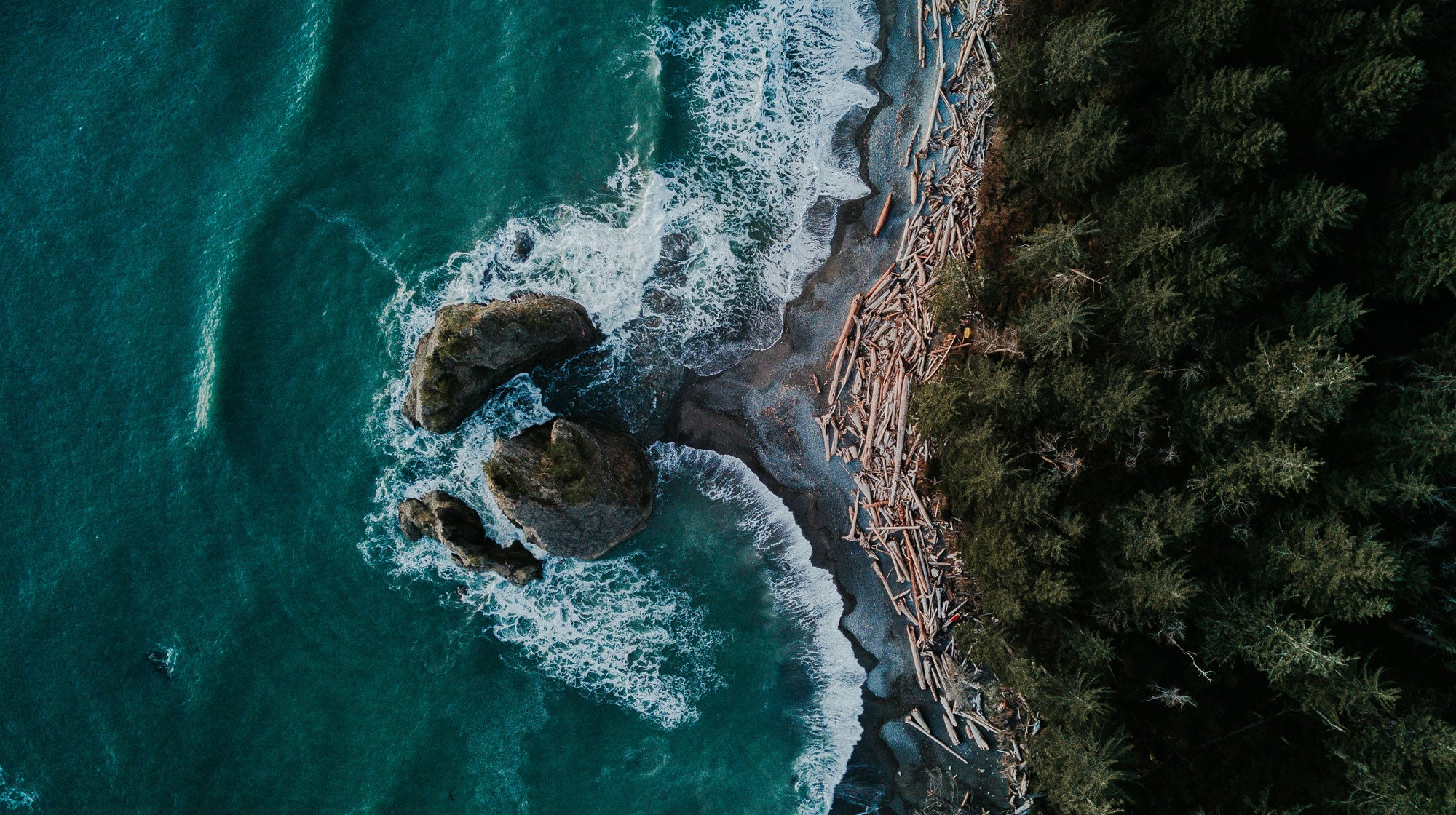 Scenic ocean background showing the beauty of our planet and donating to protect it.